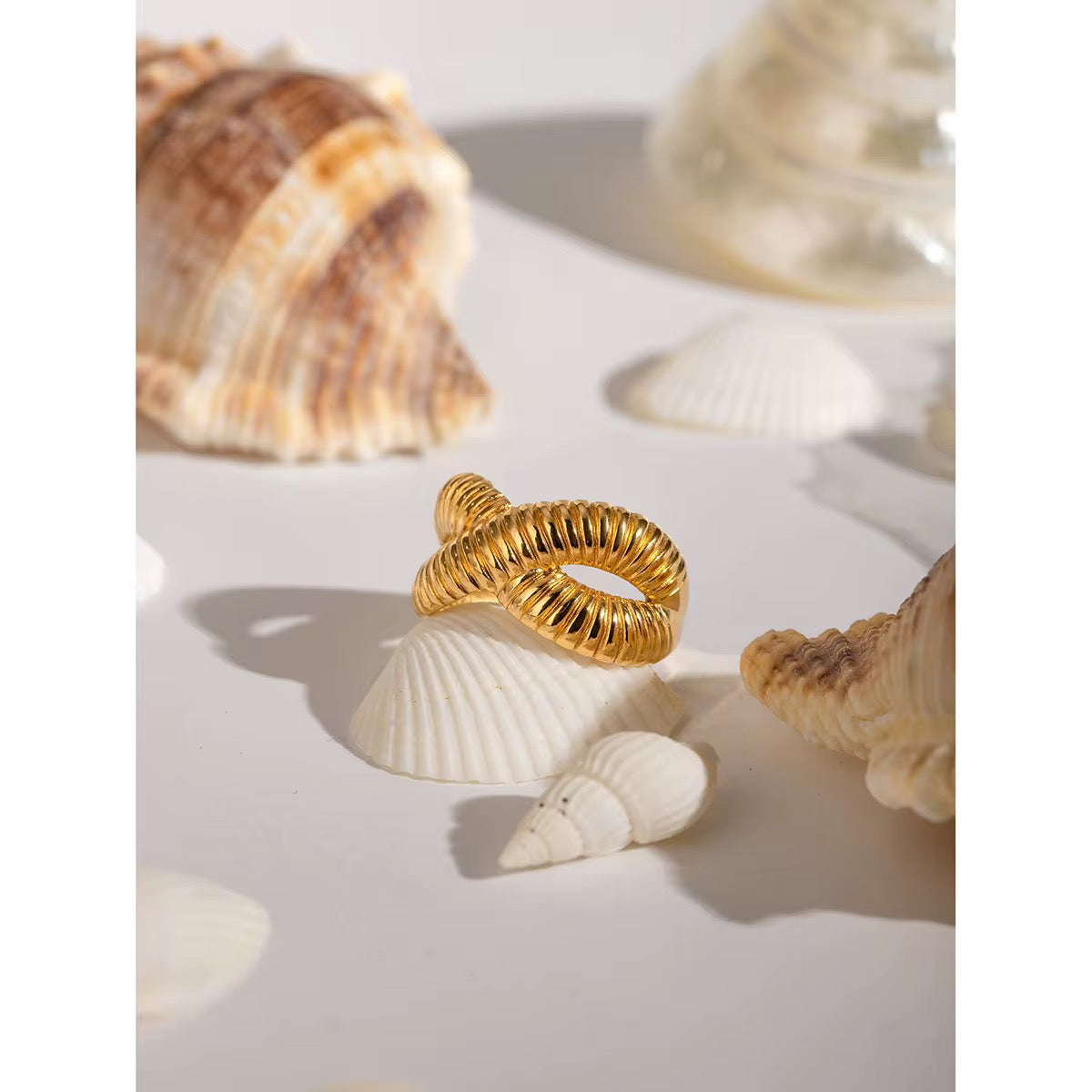 Bague coquille