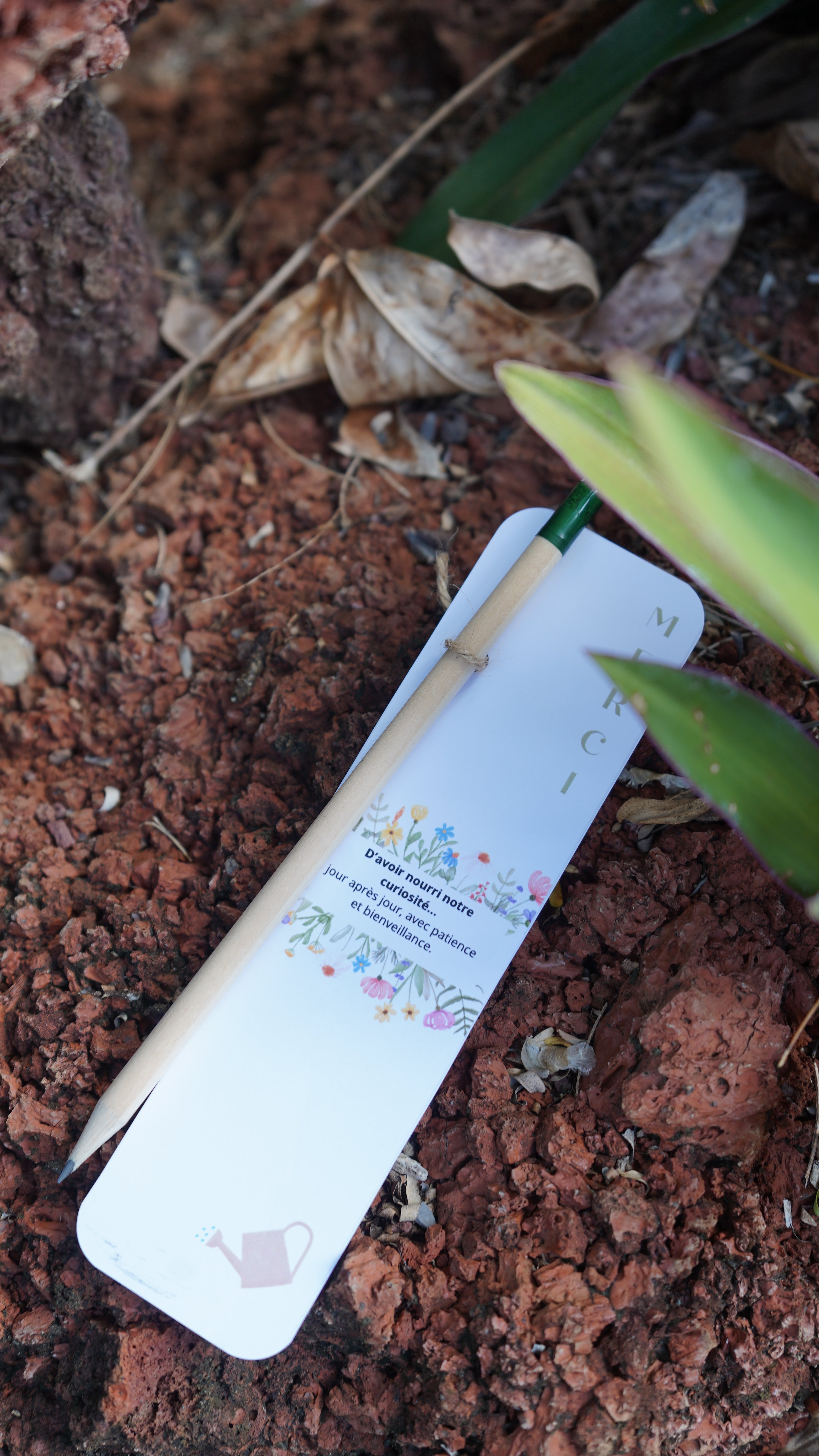 Crayon à planter